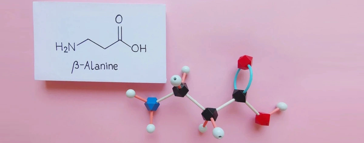 Beta Alanine Supplier.jpg